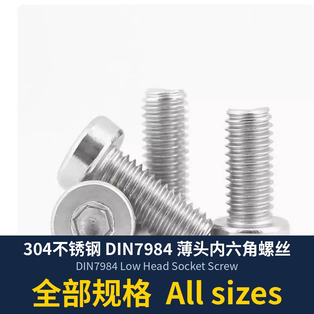 DIN7984 Low Head Socket Screw, 304 Stainless (M3-M12)
