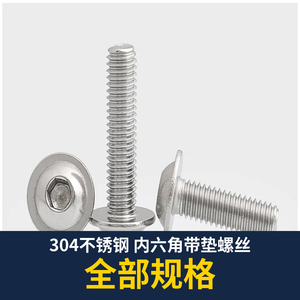 304 Stainless Flanged Socket Screw (Button Flange / DIN251)