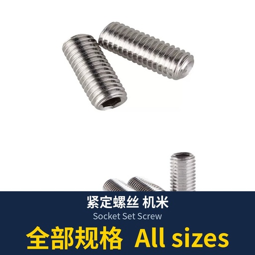 Socket Set Screw (DIN916 / DIN913 / DIN914; Steel / 304 / Nylon)